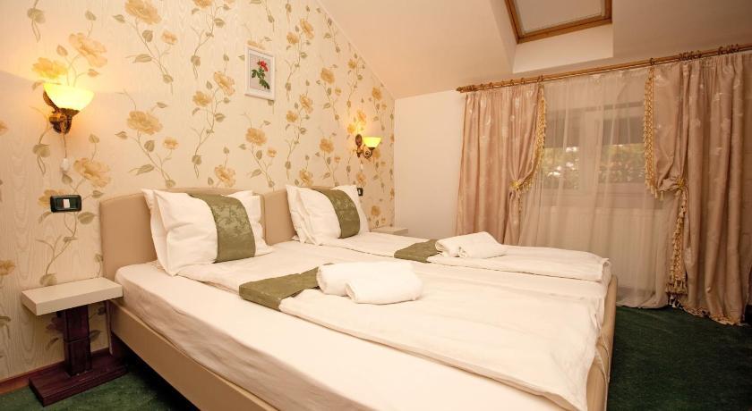 Pension Dinu Residence Timisoara Bagian luar foto